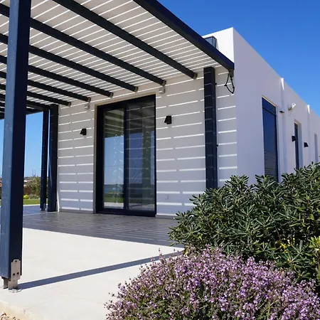 Villa By George Afiartis